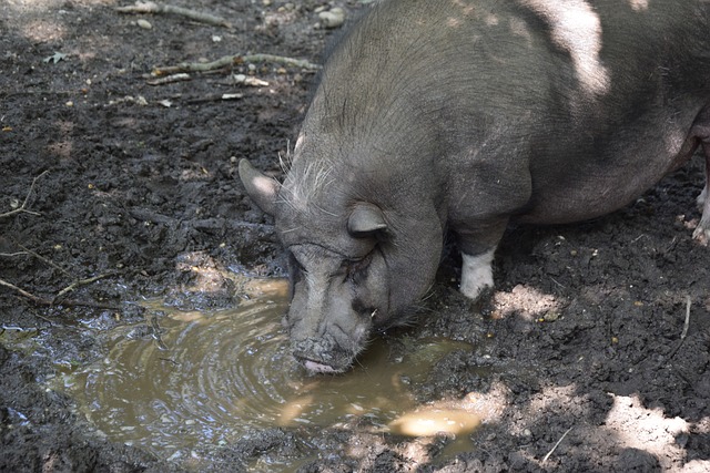 迎的運動中 迎的運動中