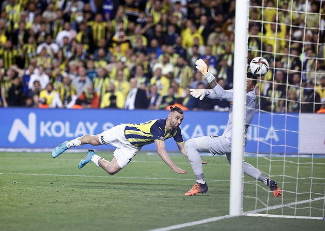 命运的附加 命运的附加