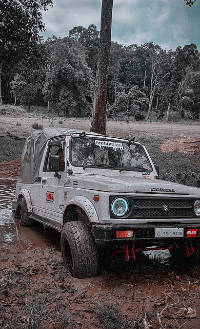 与乌克兰的 与乌克兰的