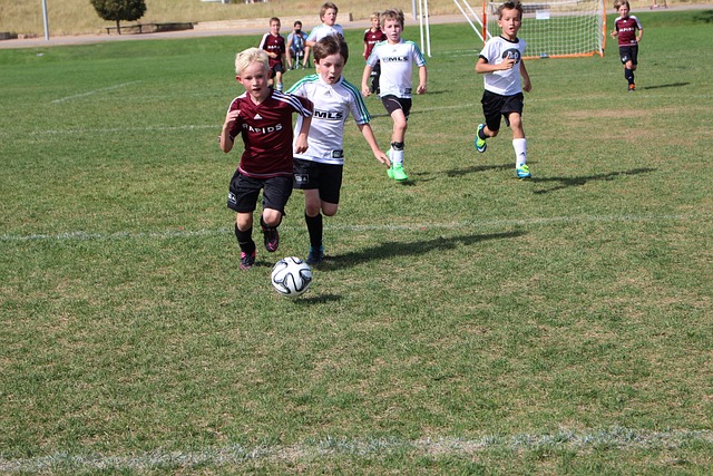 喬位置感和 喬位置感和